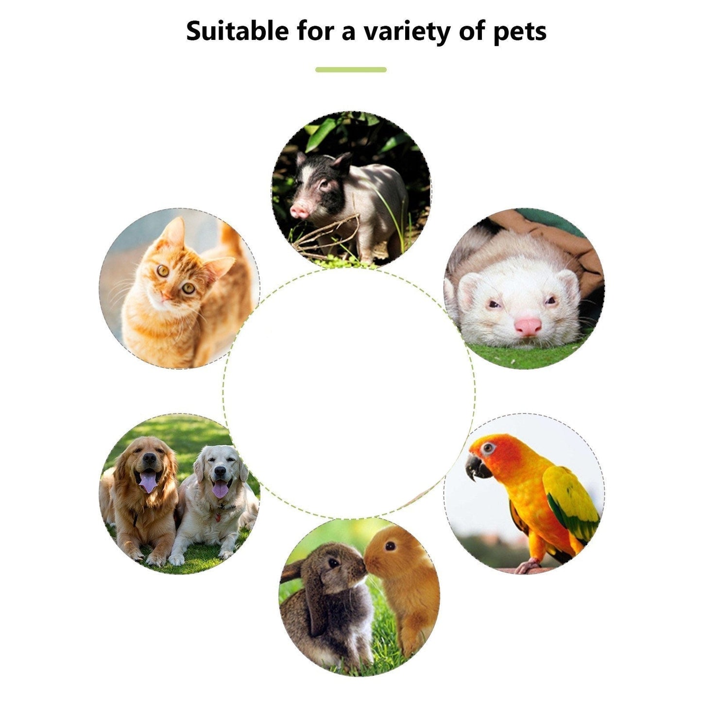 Dog Whistle with Clicker – 2-in-1 Trainer